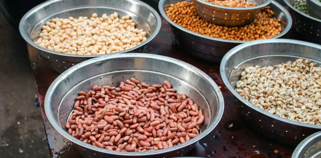 Perforated steel bowls of pulses on a dark table: red kidney beans at the front, with pale chickpeas, brown chickpeas and sprouted pulses behind and to the right.
